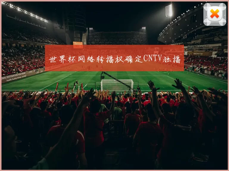 世界杯网络转播权确定CNTV独播