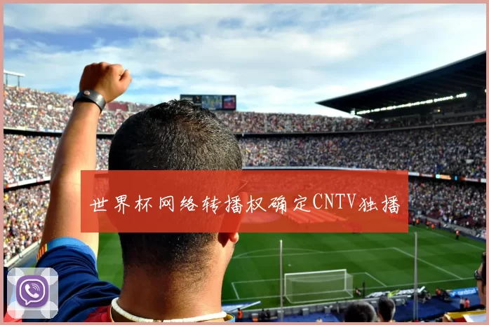 世界杯网络转播权确定CNTV独播