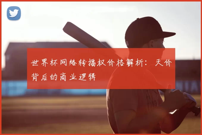 世界杯网络转播权价格解析：天价背后的商业逻辑