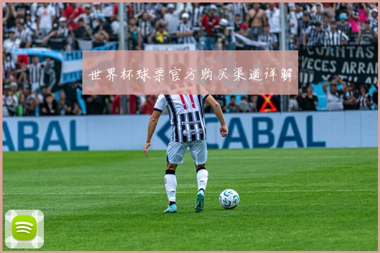 世界杯球票官方购买渠道详解