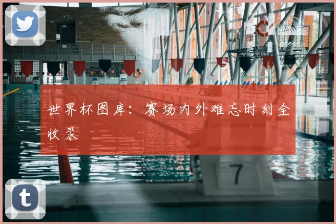 世界杯图库：赛场内外难忘时刻全收录