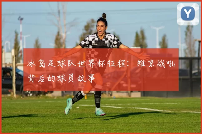 冰岛足球队世界杯征程：维京战吼背后的球员故事