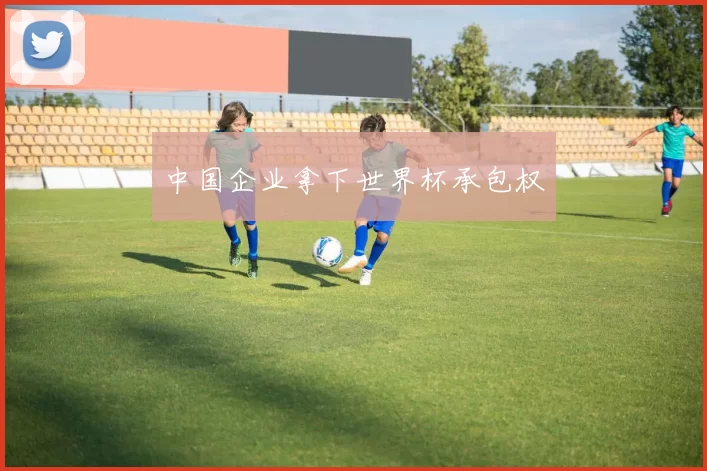 中国企业拿下世界杯承包权