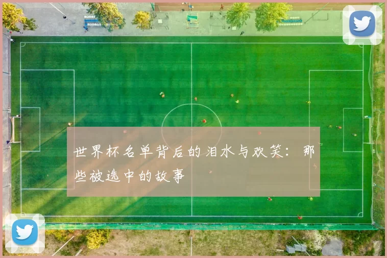 世界杯名单背后的泪水与欢笑:那些被选中的故事