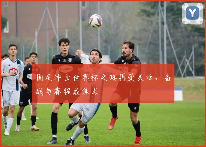 国足冲击世界杯之路再受关注,备战与赛程成焦点