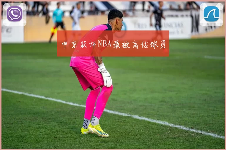 申京获评NBA最被高估球员